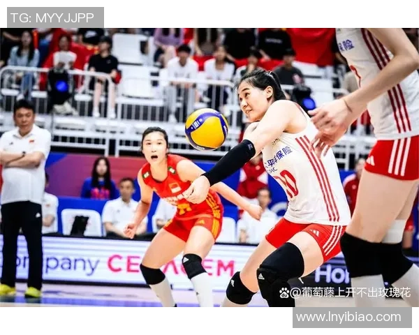 广州排球队个人能力排名创新高展现排球新风采与实力提升