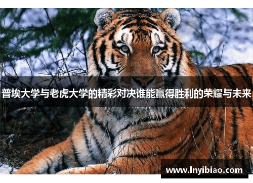 普埃大学与老虎大学的精彩对决谁能赢得胜利的荣耀与未来